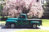 1954 - Ford F100 Eugene Timmel