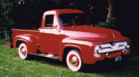 1955 - Ford F100 Steve Carpenter